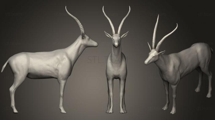 3D model Gazelle (STL)